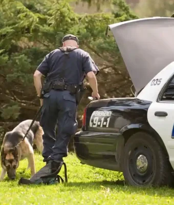 Can Police Search Your Car Without a Warrant in North Carolina? 2025