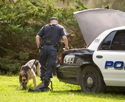 Can Police Search Your Car Without a Warrant in North Carolina? 2025