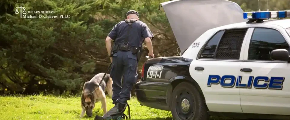 Can Police Search Your Car Without a Warrant in North Carolina? 2025